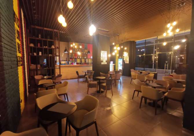 Ambient biznesi me qera 2+1 ne Tirane - 850 Euro