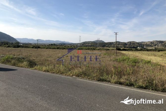Truall ose Toke  ne Tirane - 183,000 Euro