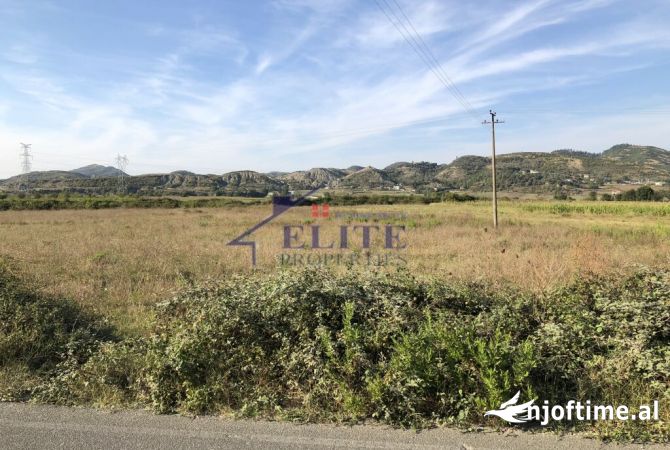 Truall ose Toke  ne Tirane - 183,000 Euro