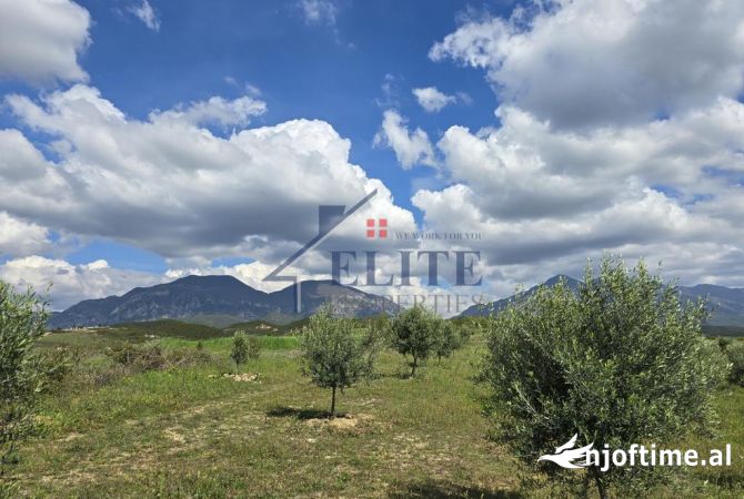 Truall ose Toke  ne Tirane - 336,000 Euro