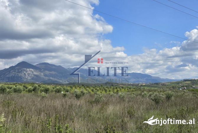 Truall ose Toke  ne Tirane - 336,000 Euro
