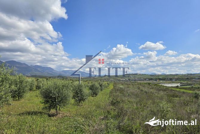 Truall ose Toke  ne Tirane - 336,000 Euro