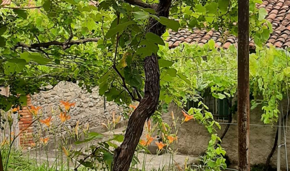 Foto 2