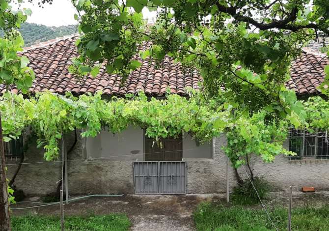Truall ose Toke ne Tirane - 155,000 Euro