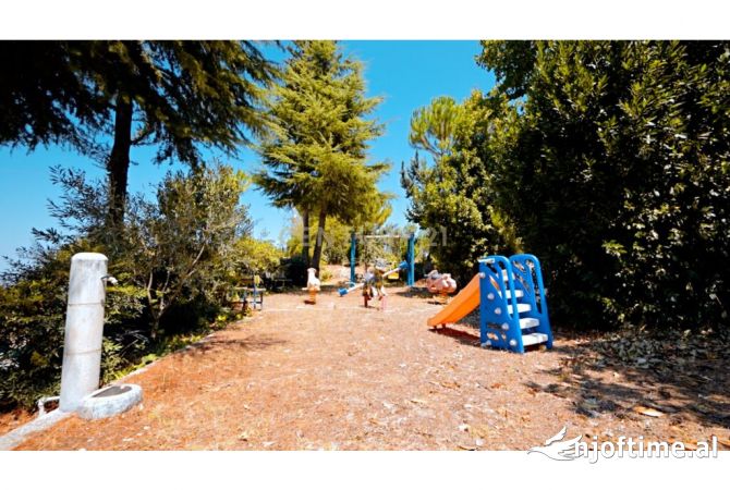 Godine per shitje ne Kucove!