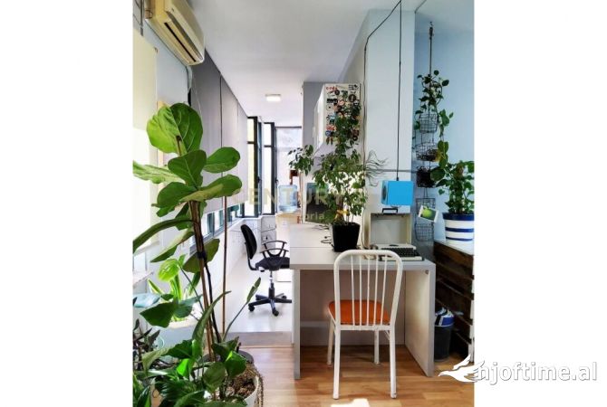 Ambient biznesi me qera 3+1 ne Tirane - 550 Euro