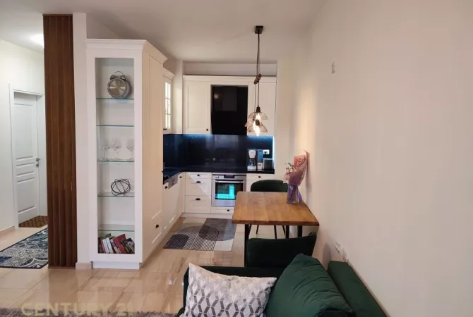 Shtepi me qera 1+1 ne Tirane - 700 Euro
