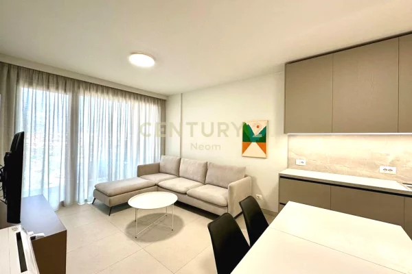 Apartment for rent in Tirana 1+1, Furnished