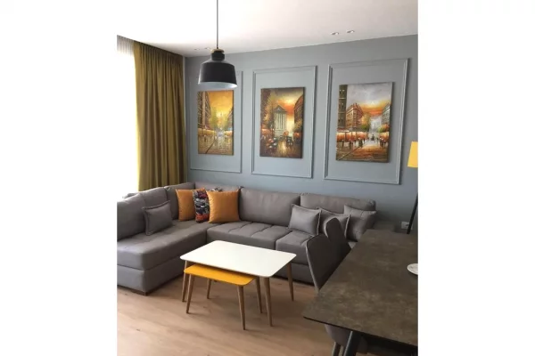 House for Rent 1+1 in Tirana - 600 Euro