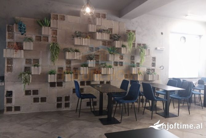 Ambient biznesi me qera 2+1 ne Tirane - 2,300 Euro