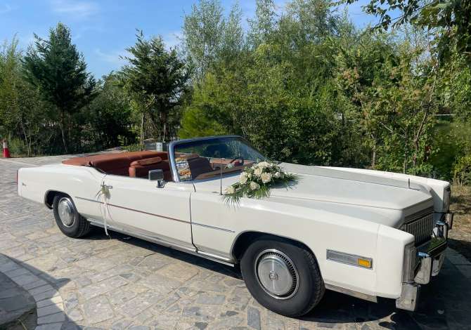 Noleggio Auto  a Scutari - 500 Euro