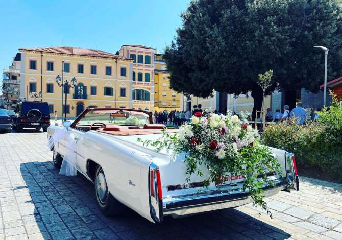 Noleggio Auto  a Scutari - 500 Euro