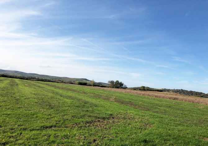 Terreno in vendita  a Lushnja - 90,000 Euro