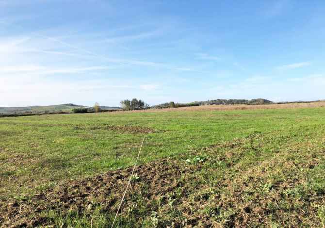 Terreno in vendita  a Lushnja - 90,000 Euro