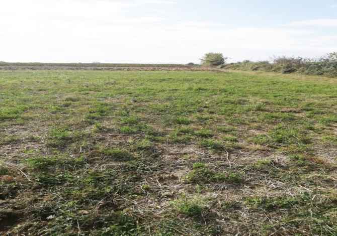 Terreno in vendita  a Lushnja - 90,000 Euro