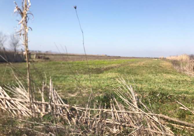Terreno in vendita  a Lushnja - 11,000 Euro