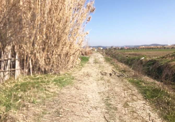 Terreno in vendita  a Lushnja - 11,000 Euro