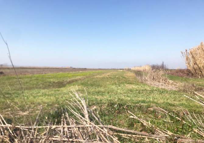 Terreno in vendita  a Lushnja - 11,000 Euro