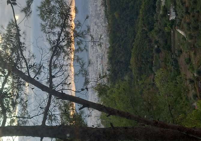 Truall ose Toke ne Tirane - 120,000 Euro