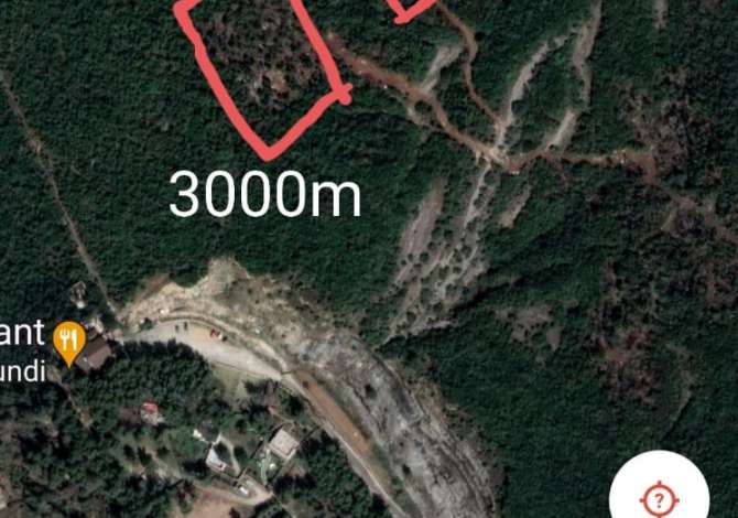 3000m2 ne Linze ( Dajt Tirane ) ndertohet me ap 2+1