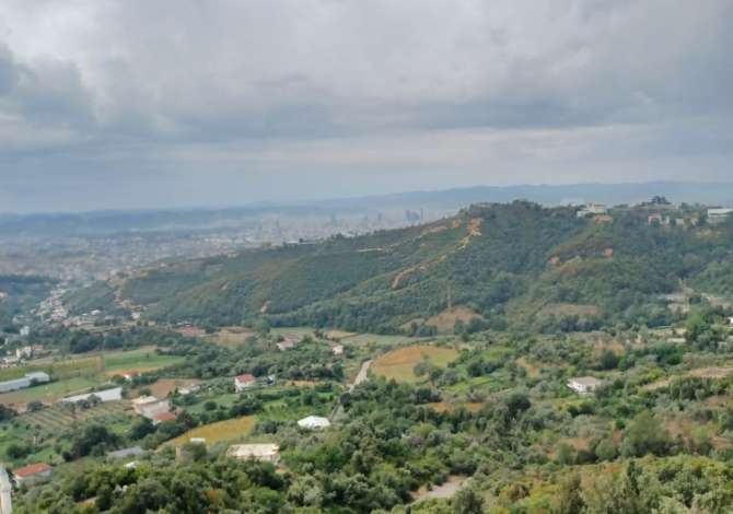 3000m2 ne Linze ( Dajt Tirane ) ndertohet me ap 2+1