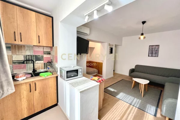 Shtepi me qera Apartament ne Tirane, Garsoniere, Mobilimi E mobiluar, Pagesa 500  Euro.