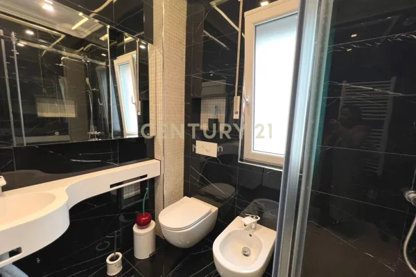 Shtepi me qera Apartament ne Tirane, 1+1, Mobilimi E mobiluar, Pagesa 500  Euro.