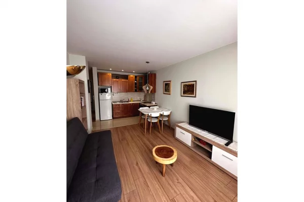 Casa in affitto 1+1 a Tirana - 700 Euro