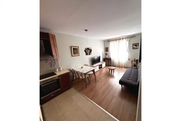 Appartamento in affitto a Tirana 1+1, Arredato