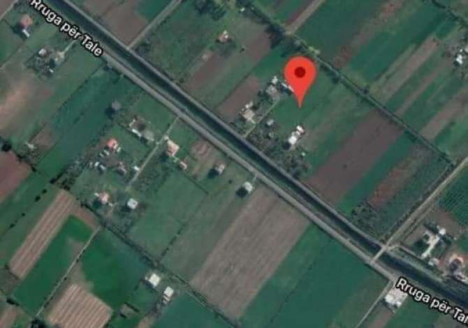 Okazione shitet toke me certefikat pronesie