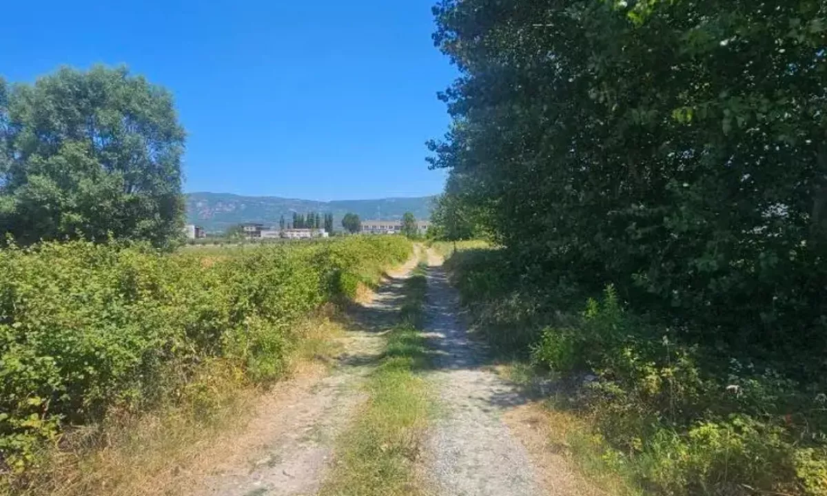 Foto 2