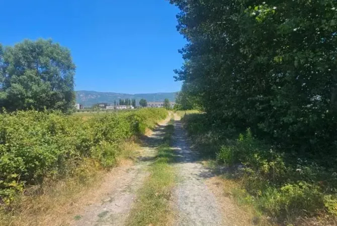 Truall ose Toke ne Lezhe - 217,100 Euro