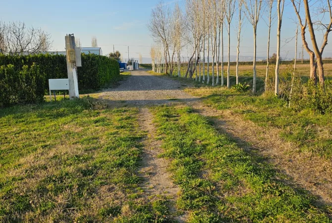 Okazion shitet prona 20000m2 Adresa Rrile Tale 