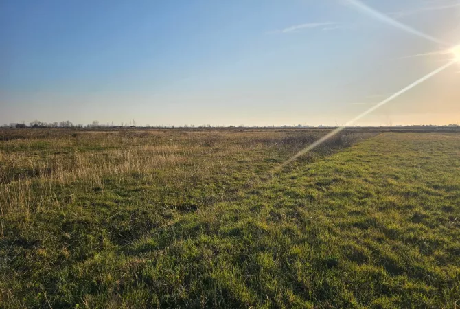 Truall ose Toke ne Lezhe - 500,000 Euro