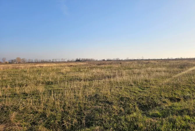Truall ose Toke ne Lezhe - 500,000 Euro