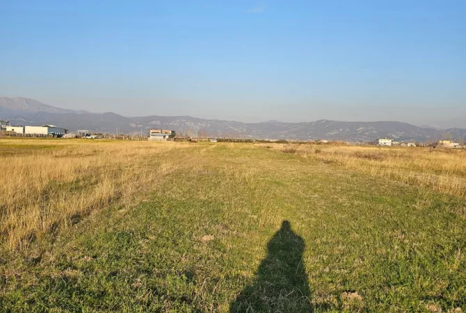 Okazion shitet prona 20000m2 Adresa Rrile Tale 