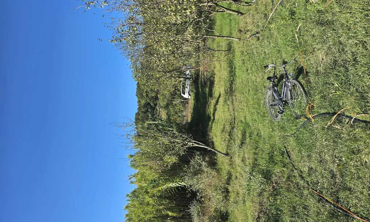 Foto 2