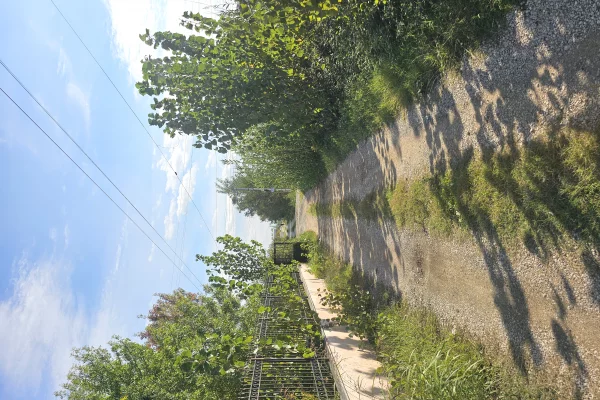 Shtepi ne shitje 3+1 ne Lezhe - 230,000 Euro