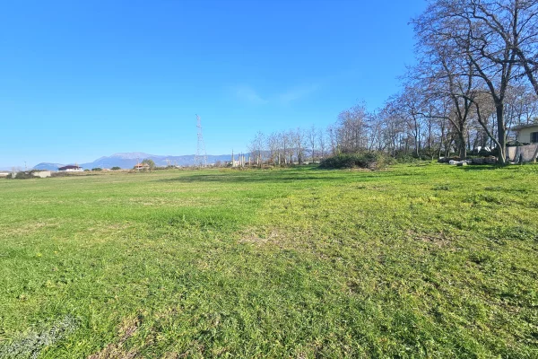 Okazion shitet prona 2900m2 Adresa Tale Lezhe