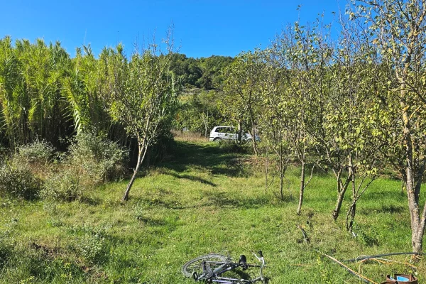 Truall ose Toke ne Tirane - 70,000 Euro