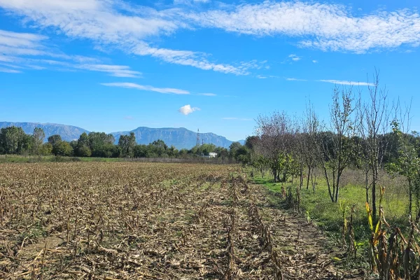 Truall ose Toke ne Tirane - 70,000 Euro