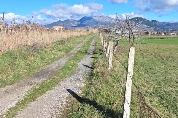 Okazion shitet prona 5000m2 Adresa Shengjin