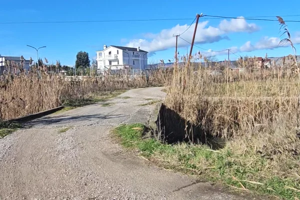 Okazion shitet prona 5000m2 Adresa Shengjin