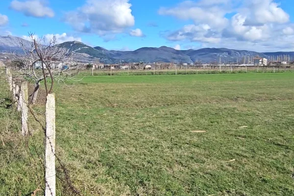 Truall ose Toke 7+1 ne Lezhe - 150,000 Euro