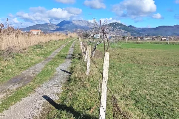 Truall ose Toke 7+1 ne Lezhe - 150,000 Euro