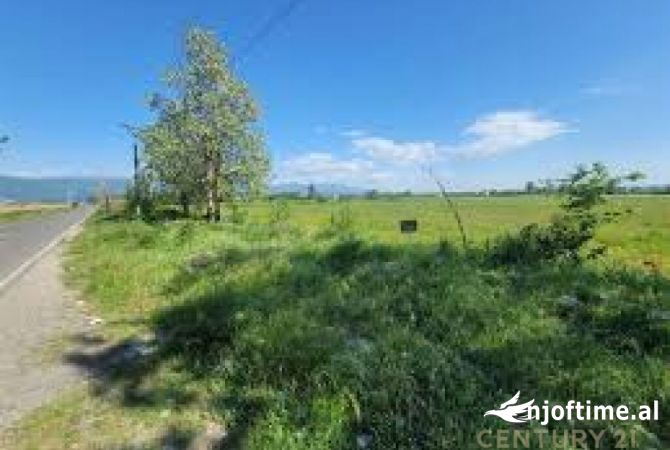 Terreno in vendita  a Alessio - 17,000 Euro