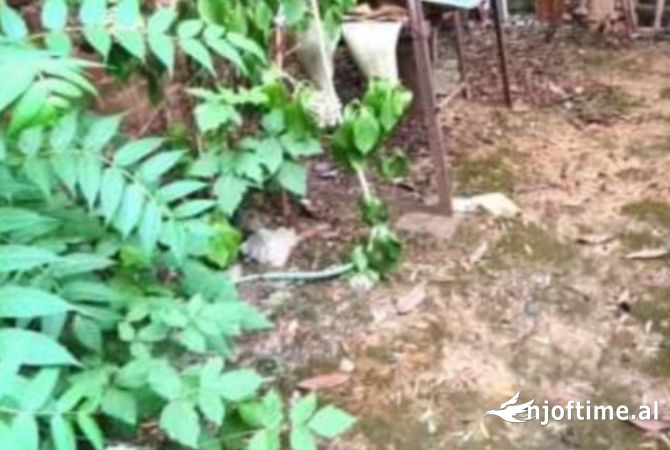 Shtepi me qera Apartament ne Tirane, 1+1, Mobilimi E mobiluar, Pagesa 300  Euro.