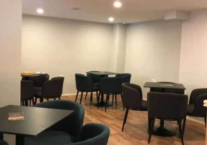 Ambient biznesi me qera 2+1 ne Tirane - 500 Euro