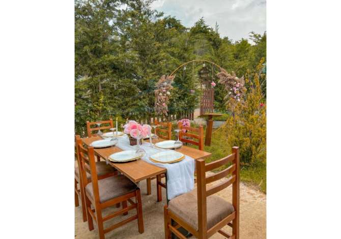 Ambient biznesi me qera 2+1 ne Tirane - 1,500 Euro