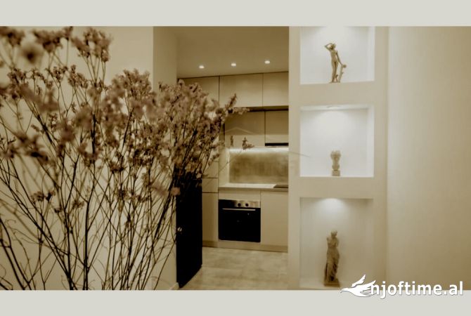 Shtepi me qera 1+1 ne Tirane - 1,000 Euro